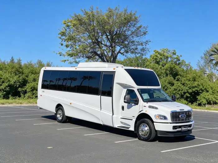 20 passenger party bus
